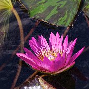 V3D8055 - Version 2  JAH-13-634